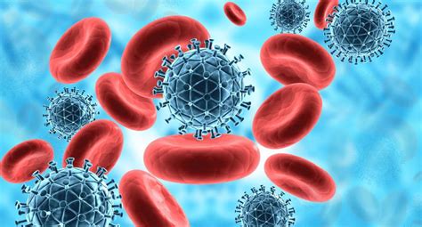 Sistema inmunológico ofrece claves sobre reacción al virus | TECNOLOGIA ...