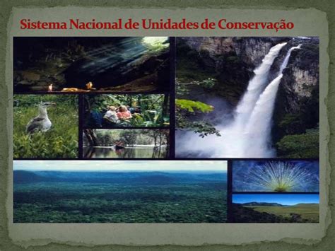 Sistema nacional de unidades de conservação