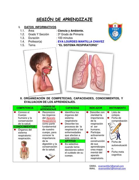 Sistema Respiratorio by EVA LOURDES MANTILLA CHAVEZ   Issuu