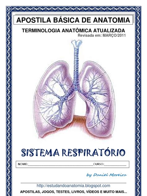 Sistema Respiratorio Completa | Pulmão | Sistema Respiratório