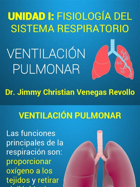 Sistema Respiratorio: Unidad I: Fisiología Del | Sistema respiratorio ...