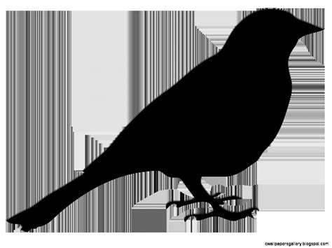 Sitting Bird Silhouette | Wallpapers Gallery