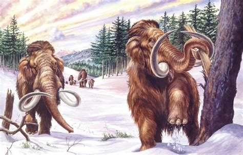 “La patria de los mamuts”: ¿Pueden quedar vivas en Siberia algunas de ...