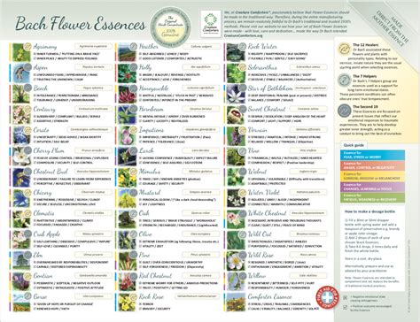 Small Bach Flower Essence Chart. Laminated poster leaflet