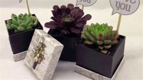 Small details and personalized gifts with plants   YouTube