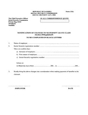 Social Security Namibia Form 13   Fill Online, Printable ...
