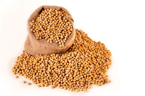 Soja é um dos grãos mais importantes para a economia do país
