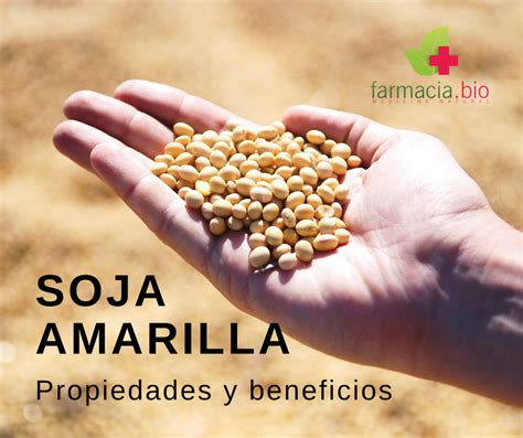 #Sojaamarilla ¿Para qué es buena? infórmate más sobre la # ...