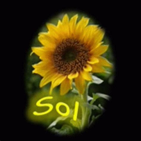 Sol Flores   YouTube