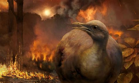 Sólo las aves terrestres sobrevivieron a la extinción de ...