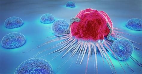 ¿Solución al cáncer?: Investigadores UdeC descubren cómo matar tumores ...