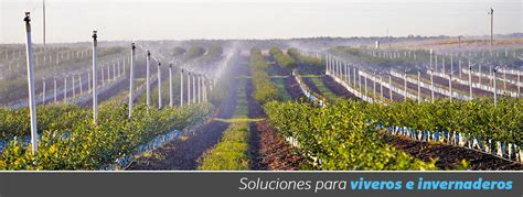 Soluciones de reigo para viveros e invernaderos | Senninger Irrigation