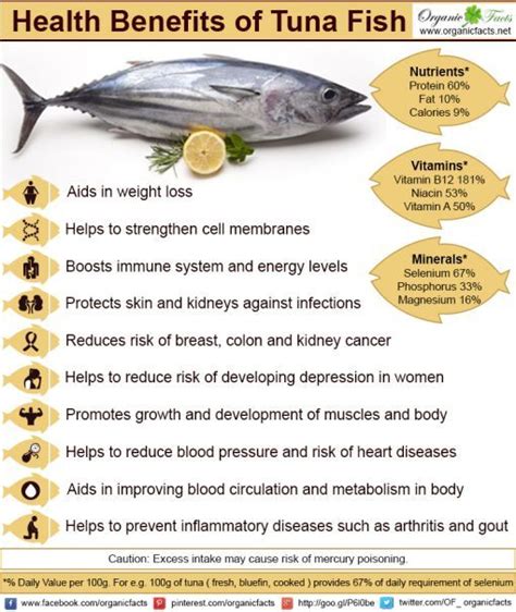 Some of the many health benefits of tuna fish include its ...