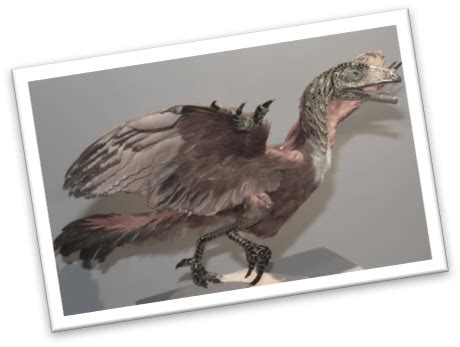¿Son las aves descendientes de los dinosaurios?  2022