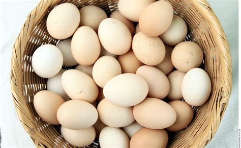¿Son los huevos de gallinas libres más saludables ...