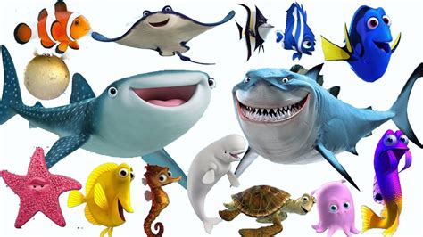 Sonidos de animales del mar para niños   YouTube