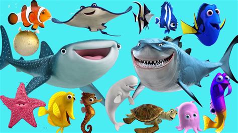 sonidos de animales del mar para niños | ZAZA TV   YouTube