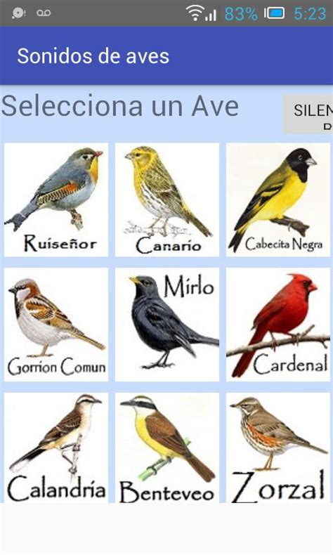Sonidos de aves cantando for Android   APK Download