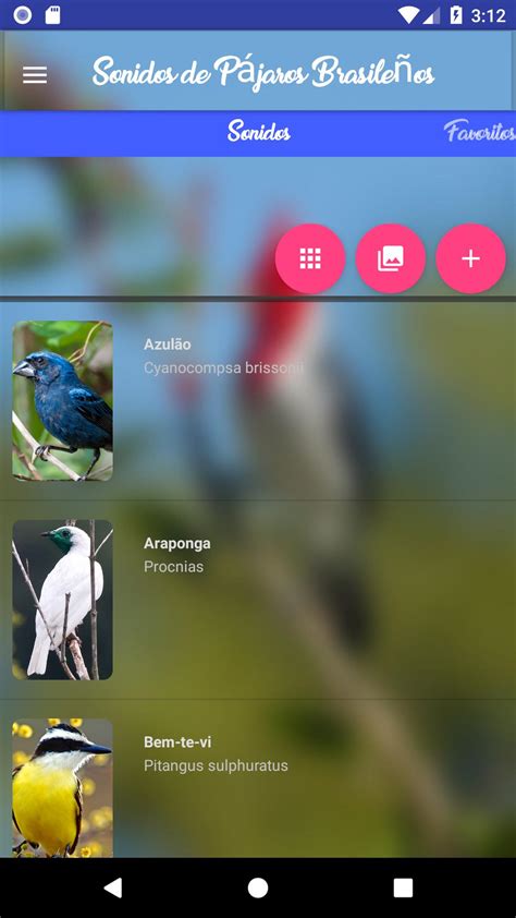 Sonidos de Pájaros Brasileños for Android   APK Download