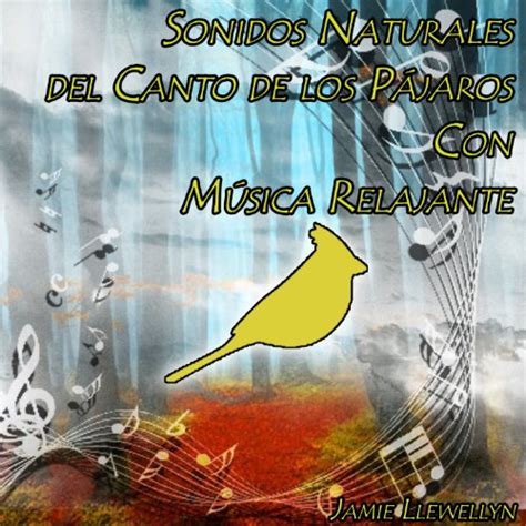 Sonidos Naturales del Canto de los Pájaros Con Música ...