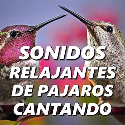 Sonidos Relajantes de Pajaros Cantando de Sonidos De Pajaros en Amazon ...