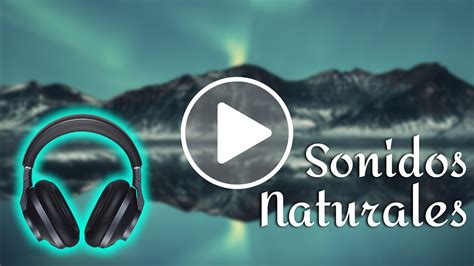 Sonidos relajantes | Transporta tus sentidos con música natural   YouTube
