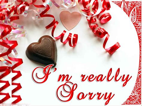 Sorry Images, Photos, Pics & HD Wallpapers Download