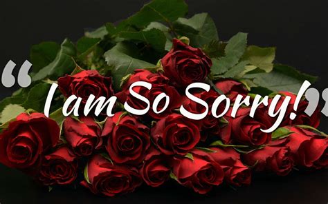 Sorry Images, Photos, Pics & HD Wallpapers Download