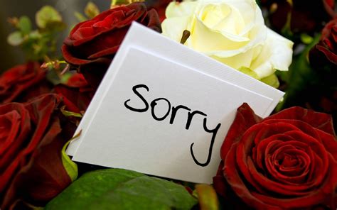 Sorry Images, Photos, Pics & HD Wallpapers Download