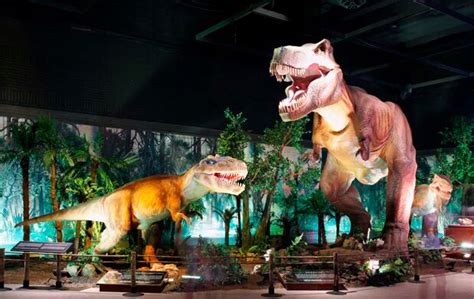 Sorteo de entradas para Dinosaurs Tour en Cuenca | Cuenca News