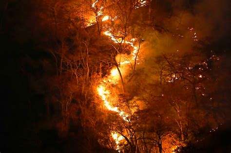 SOS Amazonas: qué hay tras los incendios que podrían ...