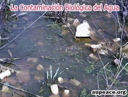 【Ø】La Contaminación Biológica del Agua que la Provoca ...