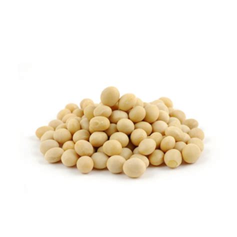 Soy Beans, Organic The Wholefood Collective