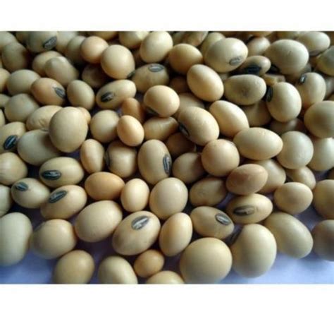 Soya Beans 250gms, Soyabean, Soyabean Daal Shrinidhi ...