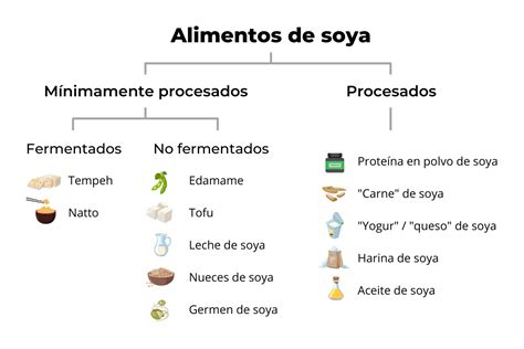 Soya, lo que necesitas saber  mitos, riesgos y algunos beneficios ...