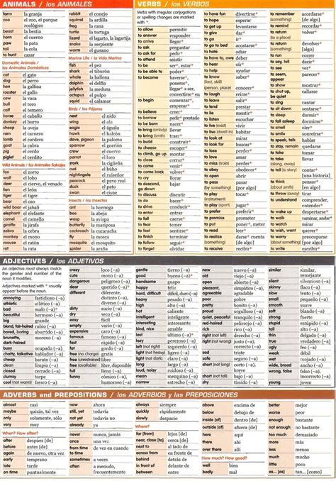 Spanish grammar chart Animals, verbs, adjectives, adverb ...