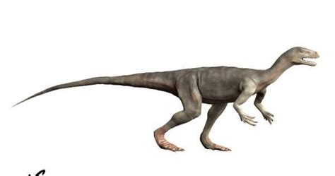 Spinops: Nyasasaurus parringtoni