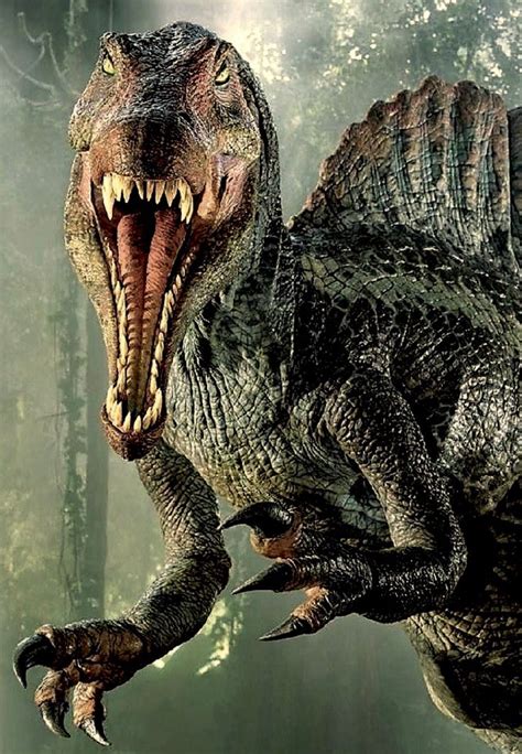 SPINOSAURE | Dinosaur pictures, Spinosaurus, Jurassic ...