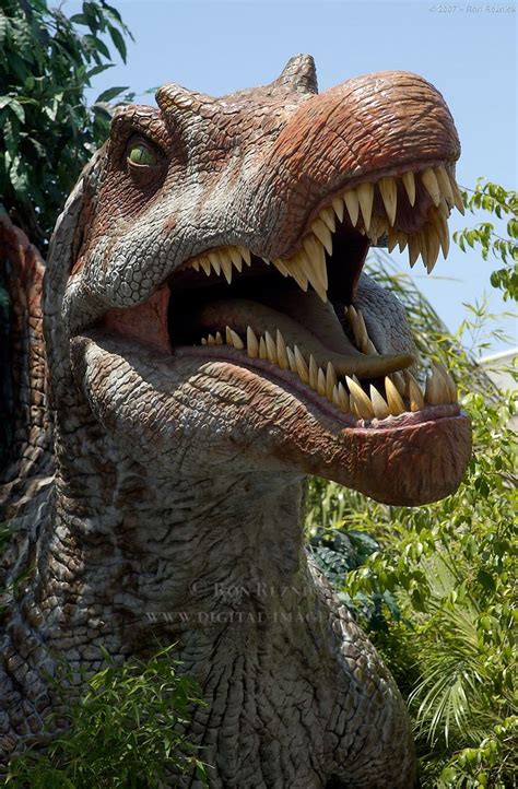 Spinosaurus | Dinosaur pictures, Jurassic park world ...