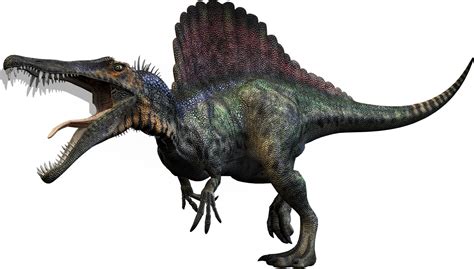 Spinosaurus | Dinosaur Wiki | Fandom powered by Wikia