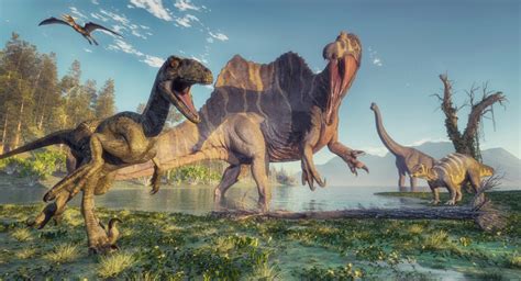 Spinosaurus: El Dinosaurio Acuático Más Grande Que El T Rex | Veobook