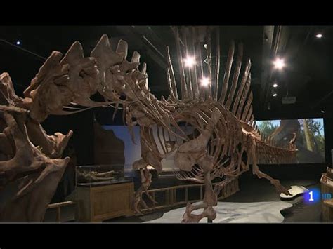 SPINOSAURUS : el dinosaurio carnívoro más grande del ...