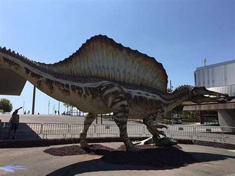 Spinosaurus, el dinosaurio gigante del Museu Blau – Más ...