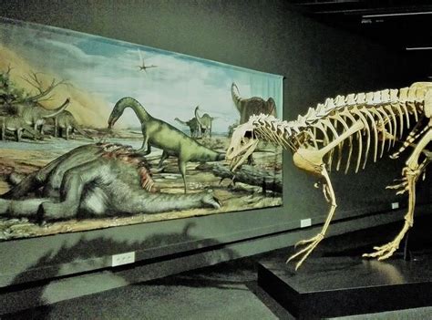 Spinosaurus en Museo Blau · Un Buen Día en Barcelona