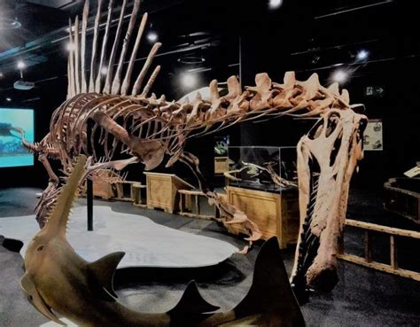 Spinosaurus en Museo Blau · Un Buen Día en Barcelona
