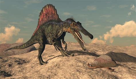Spinosaurus Facts: Extinct Animals of the World ...