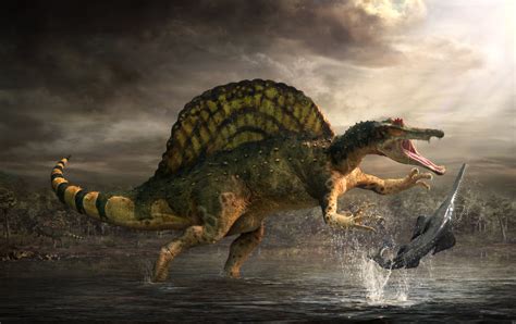 spinosaurus   JungleKey.fr Image #50