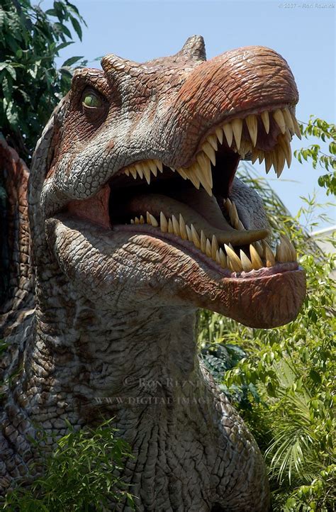 Spinosaurus | Jurassic world dinosaurs, Spinosaurus ...