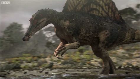Spinosaurus   Planet Dinosaur   BBC 1   YouTube