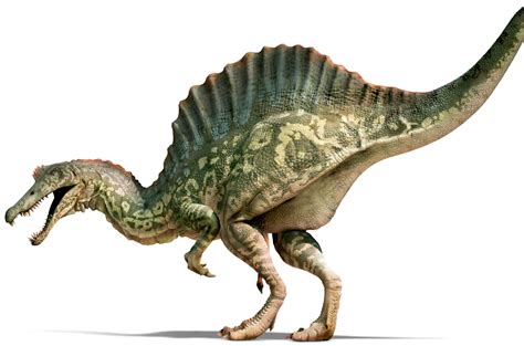 Spinosaurus | Spinosaurus Facts | DK Find Out